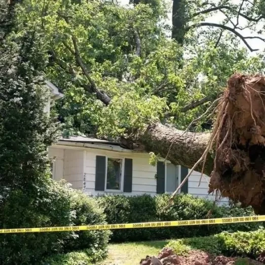 Storm & Wind Damage Repair Services in Montgomery County, PA